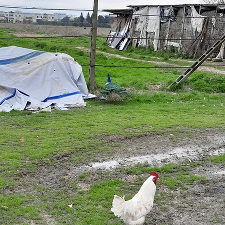 Quarto em Acomodações Particulares Stanze Economiche Sacrocuore *